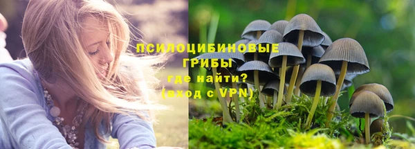 прущие крисы Карпинск