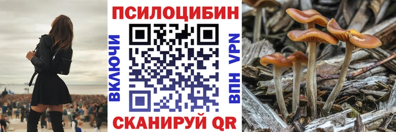 Галлюциногенные грибы Cubensis  Купить  Подпорожье 